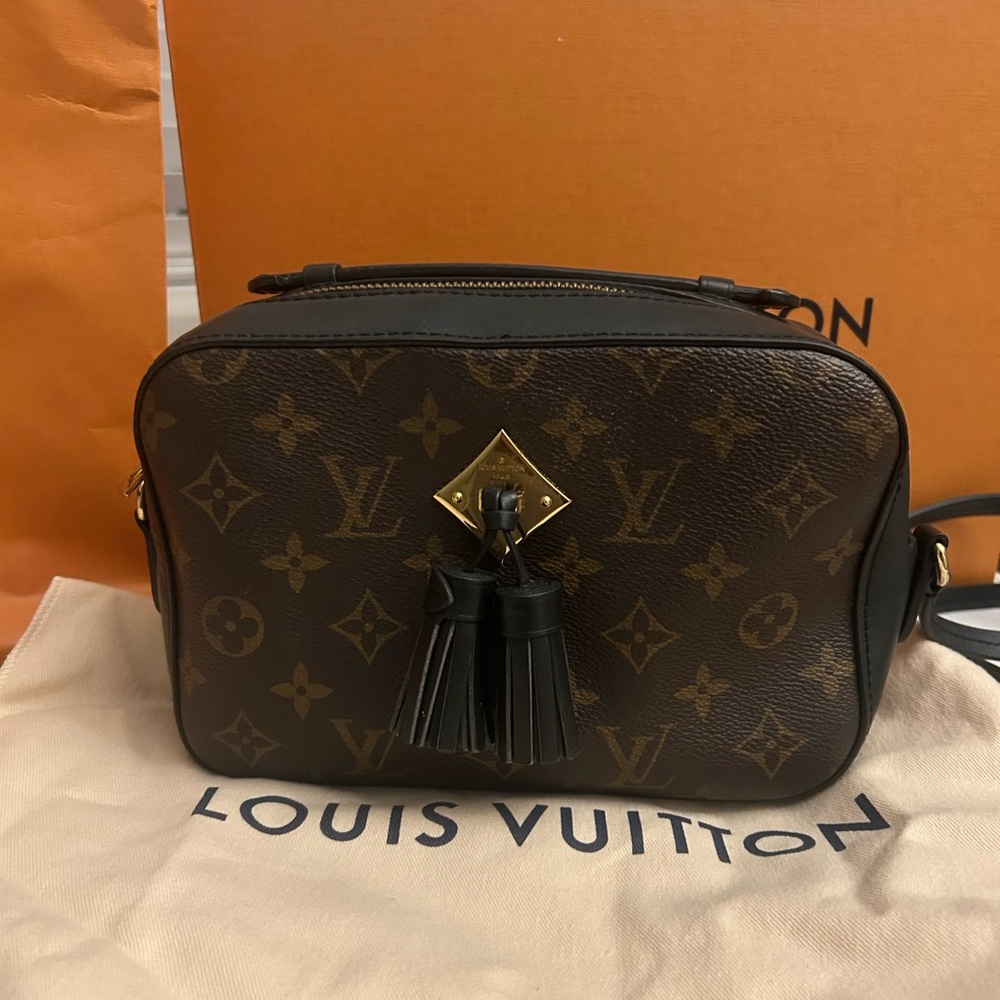 Louis Vuitton Saintoge Monogram